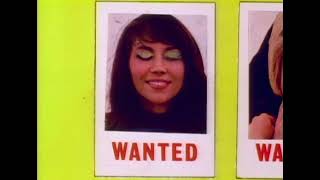 Cool Mccool The Vanishing Shoehorns