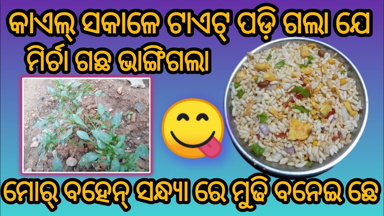 ମୋର୍ ବହେନ୍ ମୁଡି ଥି କାଣା ଶାନି ଛେ 😅 // @Barsa ritu -w2z//sambalpuri vlog ...