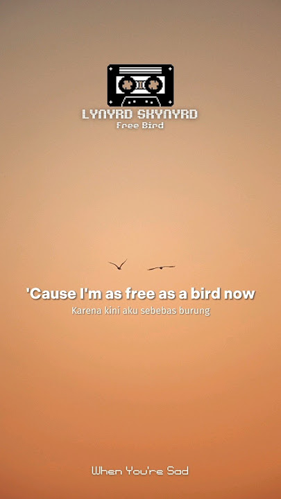 Lynyrd Skynyrd - Free Bird (Story WA) #lynyrdskynyrd #freebird #shorts