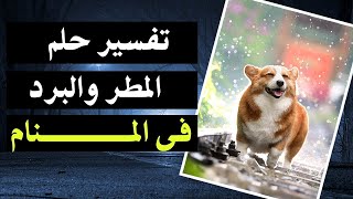 تفسير حلم المطر والبرد