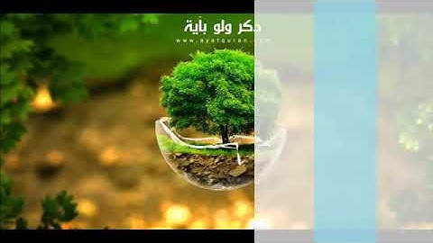 سورة ق تلاوة من ليالي رمضان بصوت القارء عبدالعزيز بن صالح الزهران