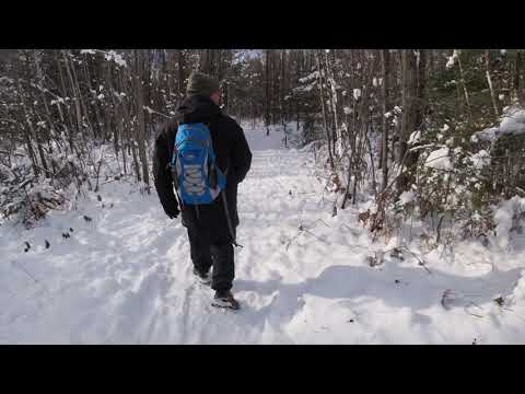 Promenade dans le Parc Récréotouristique de Saint-Lin-Laurentides