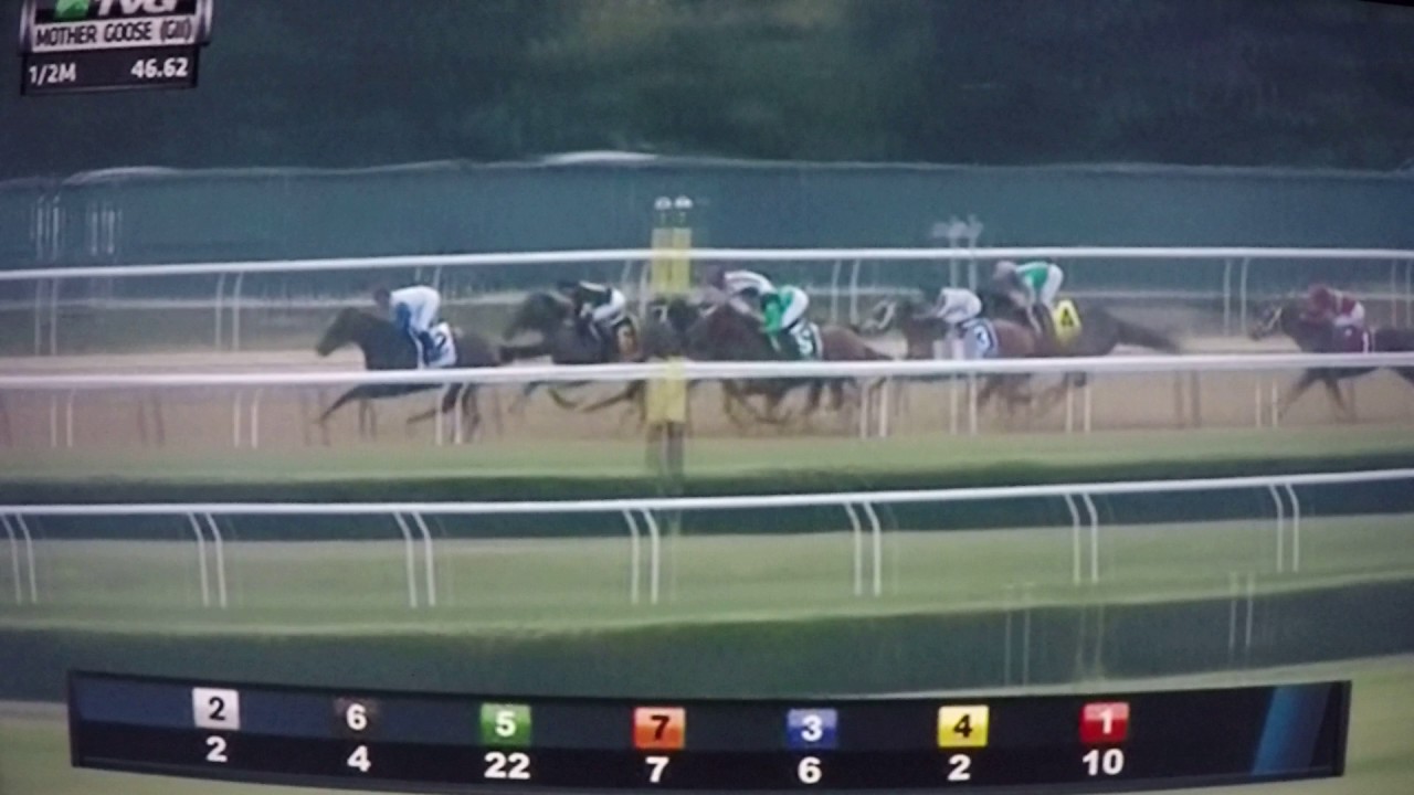 MOTHER GOOSE S, (G2) STAKES $250,000 - 2017 - UNCHAINED MELODY !!!