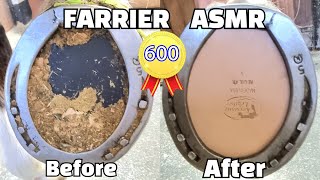 ASMR / Farrier Horse Hoof Horseshoeing Restoration Oddly Satisfying