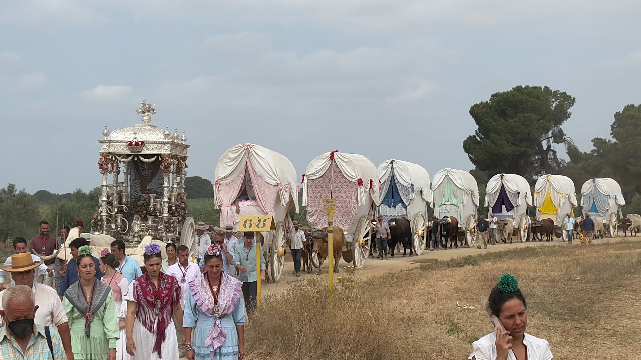 Hdad. Del Rocío Coria del Río 2025 (vuelta)