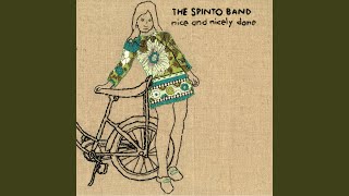 Video thumbnail of "The Spinto Band - Brown Boxes"