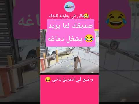صاحبك لعب دور النينجا البوابة الاتوماتيكية قالت لا  ضحك اكسبلور