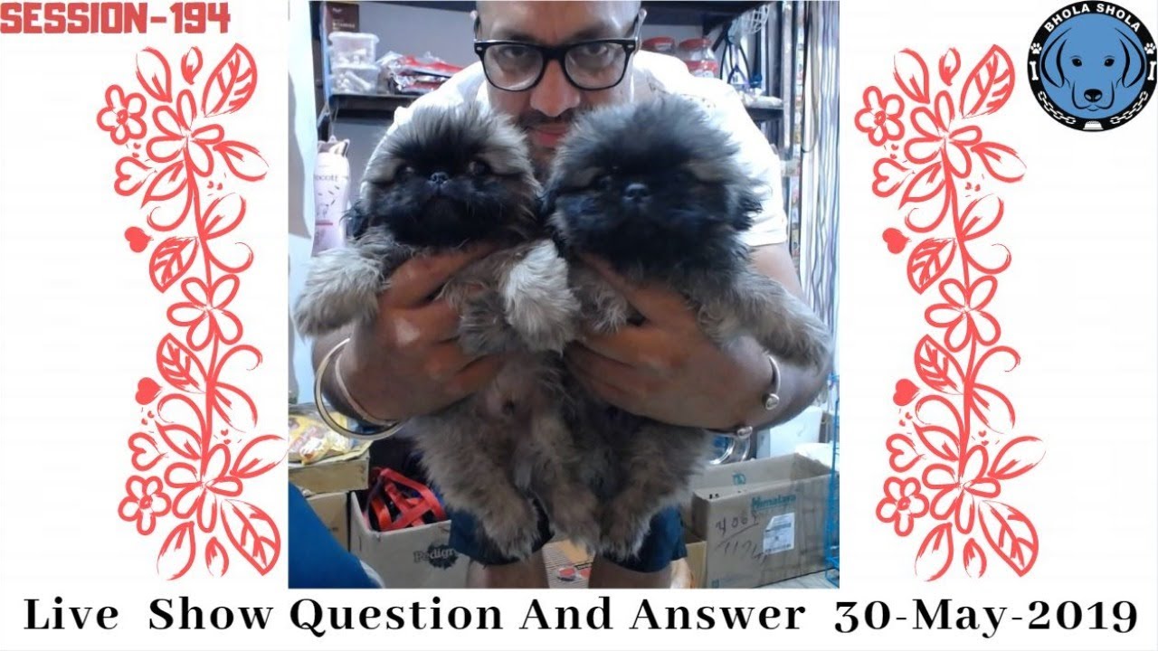 gsダーツ Live-Show Question And Answer 30-May-2019
