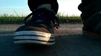 Adidas Neo and Cone Asmr