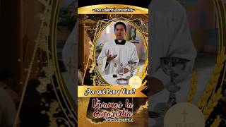 ¿Por qué Pan y Vino? - Serie Catequética 'VIVAMOS LA EUCARISTÍA'