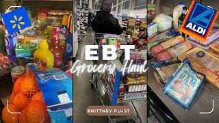 $400 EBT Grocery Haul |Aldi,Walmart|