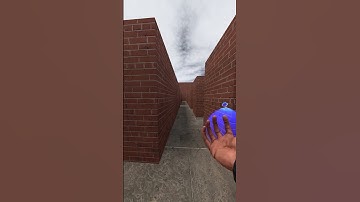 YOU CAN RUN BUT YOU CAN