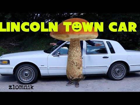 Wideo: Dlaczego Lincoln nosił wysoki kapelusz?
