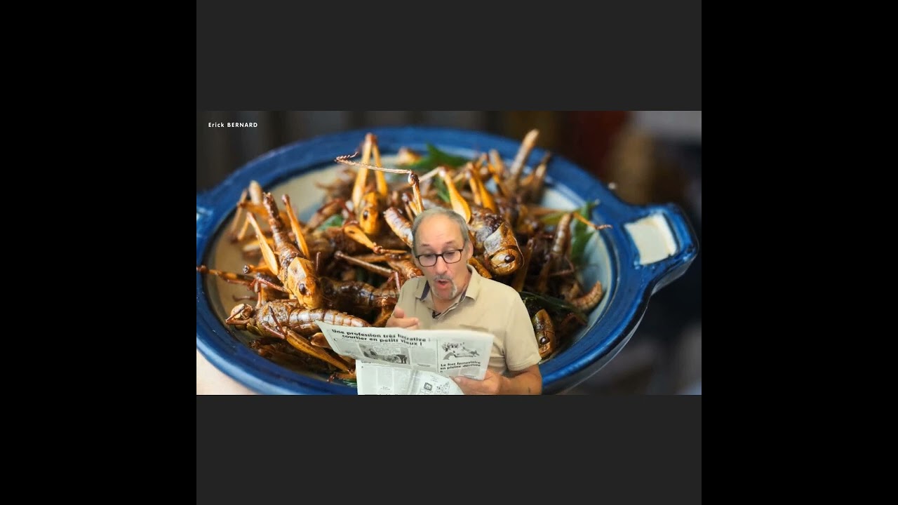Manger des insectes ? Un scandale ? 