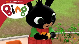 Potato  Bing  Episode  Bing English