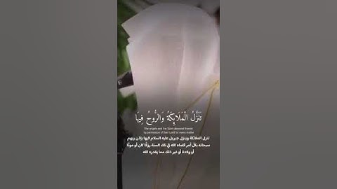 ﴿ إِنَّا أَنزَلْنَاهُ فِي لَيْلَةِ الْقَدْرِ﴾ سورة القدر | ناصر القطامي