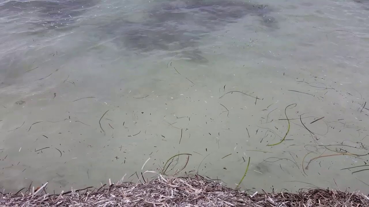 Western Australia Castletown Esperance Beach Sounds Ambience YouTube