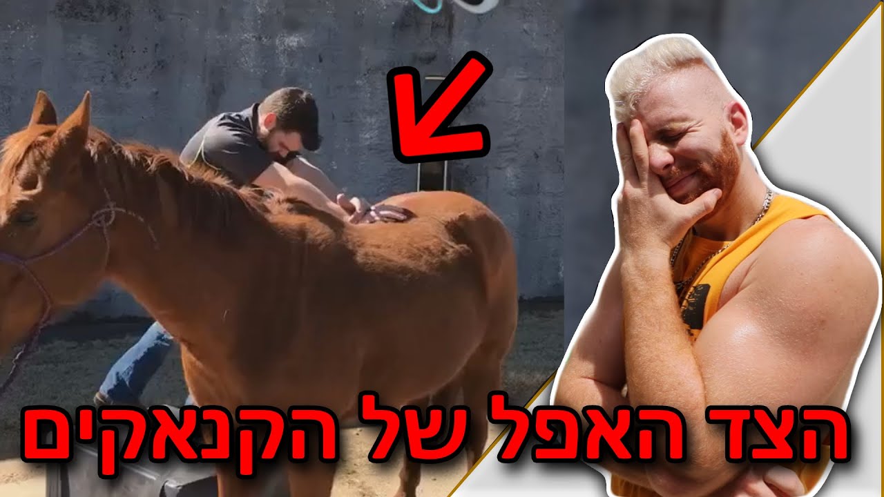 קנאקים. ממש לא סיימנו.