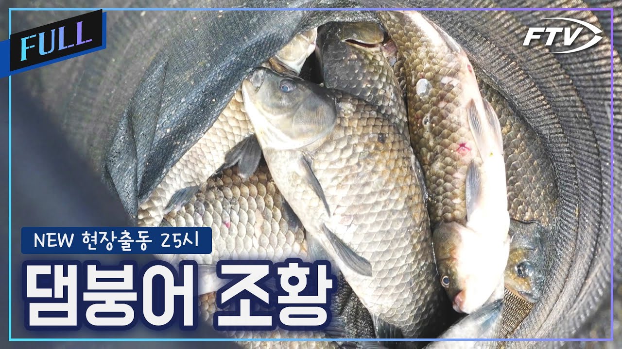 댐붕어의 위력? [NEW현장출동25시/35회]