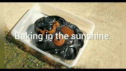 Rust Dying with Tannin