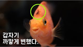 갑자기 생긴 변화