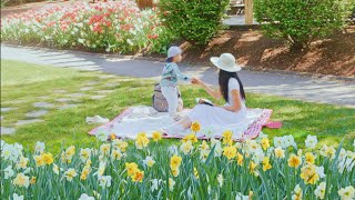 [Playlist]  Enjoy Your Spring🌸|  Music To Start Your Day