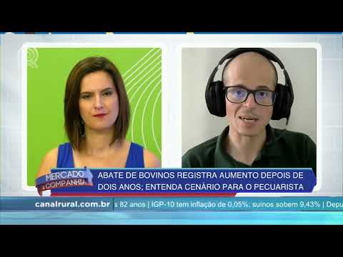 Bovinos: Aumento de abates é registrado depois de dois anos | Canal Rural