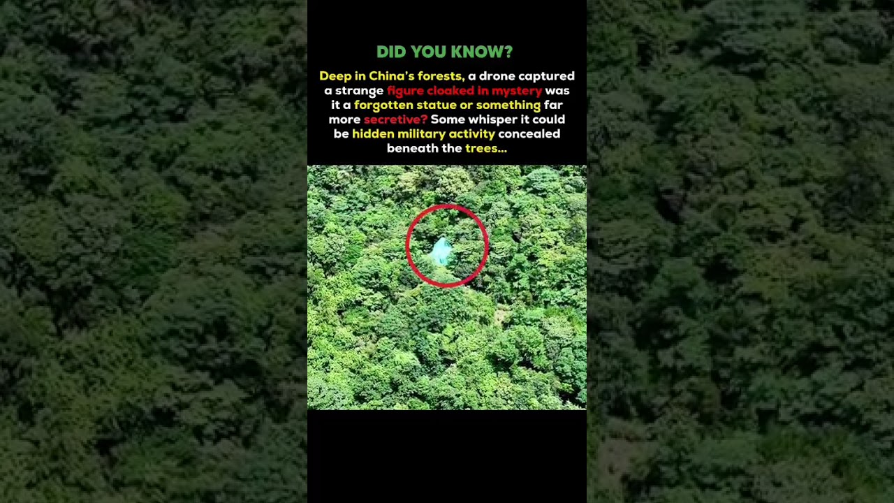 Drone Discovers a Mysterious Figure Hidden Deep in China’s Forest 😳 