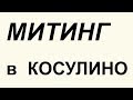 Митинг в Косулино 26 декабря 2018 года