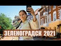 Зеленоградск 2021-город кошек и немецкой архитектуры