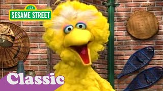 Im No Aardvark Song With Big Bird Sesame Street Classic