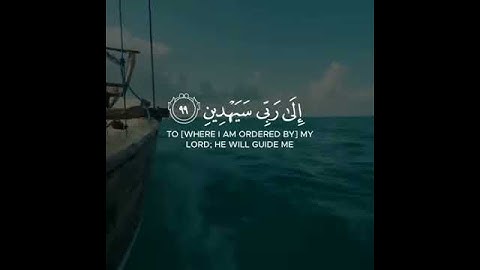 أجمل حالات واتس اب قرآن كريم بصوت صلاح مصلي | صوت يريح القلب❤️😴