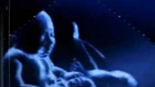 Final Countdown Baby sonogram