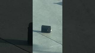 Lost Luggage ?