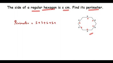 The side of a regular hexagon is s cm. Find its perimeter.