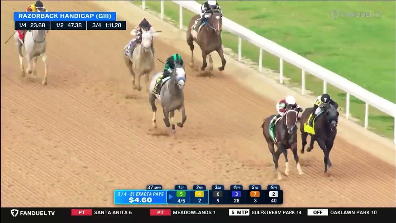 The 500,000$ Razorback Stakes Grade III