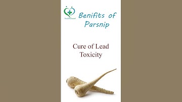 Top 10 Benefits of Parsnip