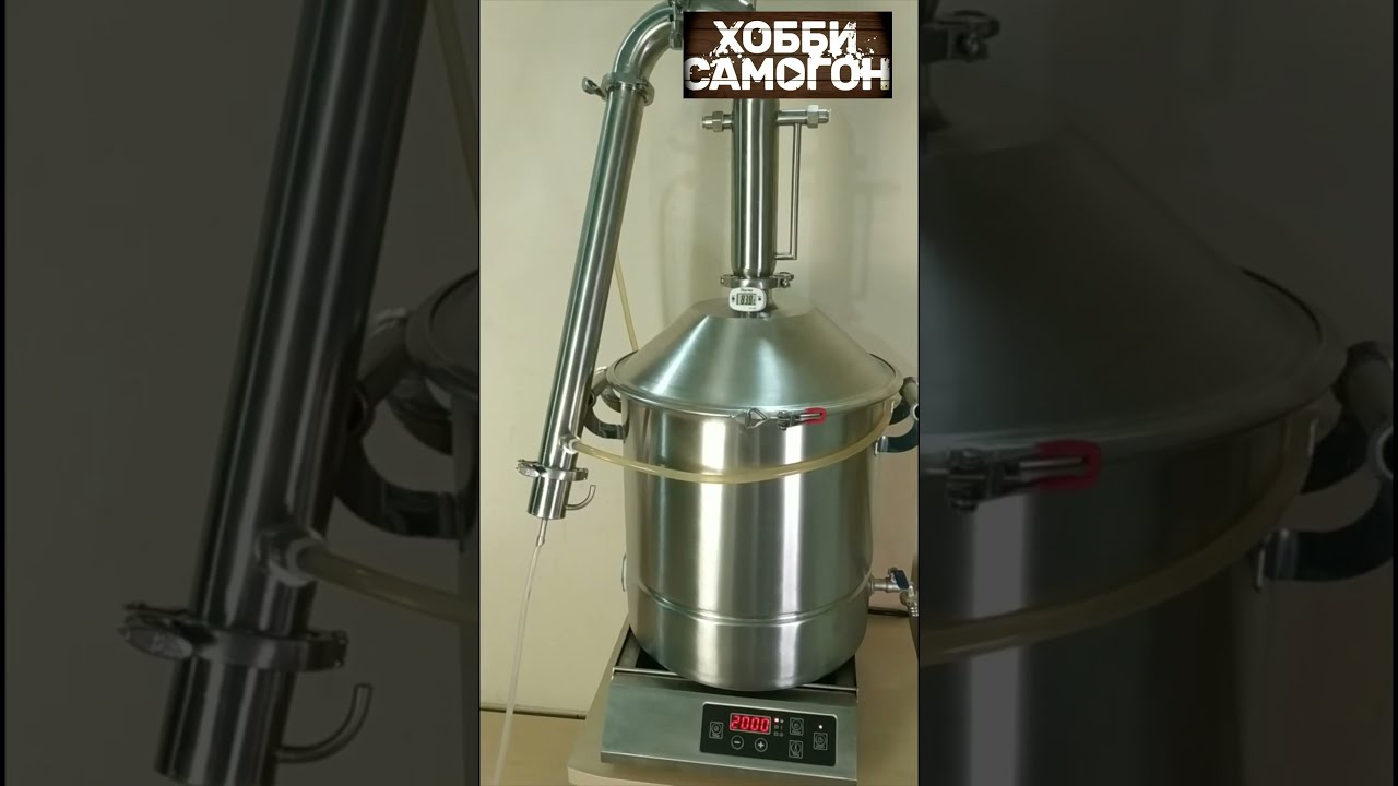 Шнапсер Хо 4 М Купить Официальный Сайт