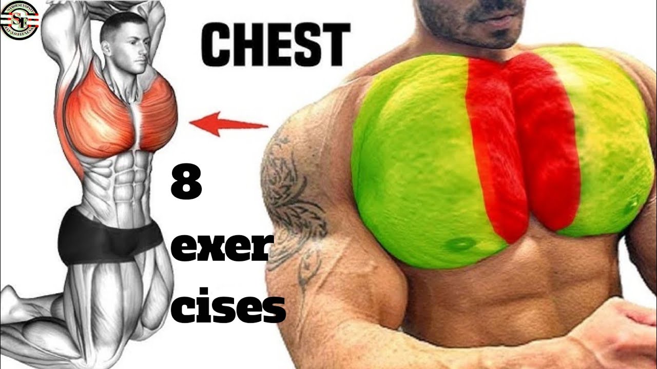 8 BEST CHEST EXERCISES:Chest workout - YouTube
