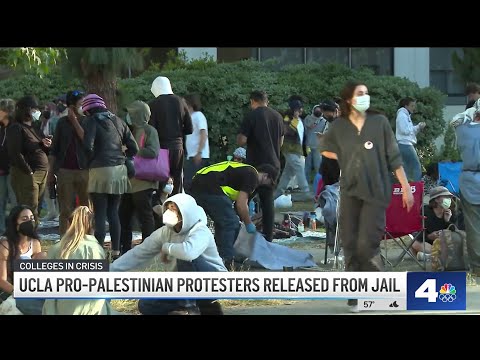 Pro-Palestinian UCLA protesters released from jail