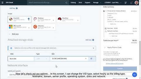 IBM Cloud Virtual Servers - Suspend Billing