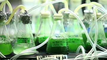 Genomic Overload - Bioinformatics connects the dots