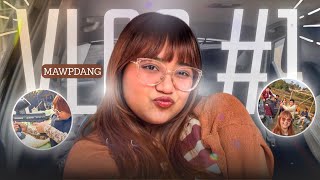 My First Ever Vlog New Beginning