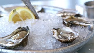 From Shopping to Shucking: All About Oysters