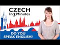 Learn Czech - Do You Speak English? - Czech in Three Minutes