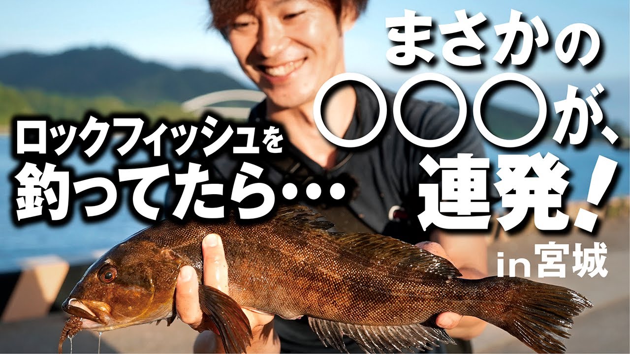 ロックフィッシュ釣ってたらまさかの大物登場で大興奮！【夏の宮城でロックフィッシュ】