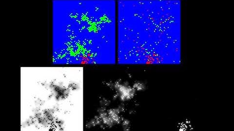 Bayesian State Estimation of the Dynamic Grid Map (Green State Hidden))