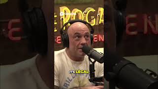 Pelosi's Stock Trades ; Legal Yet Controversial #podcast #jrefunnymoments #jre #investing #comedy