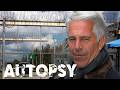 Investigating the True Cause of Jeffrey Epstein's Death | Our History