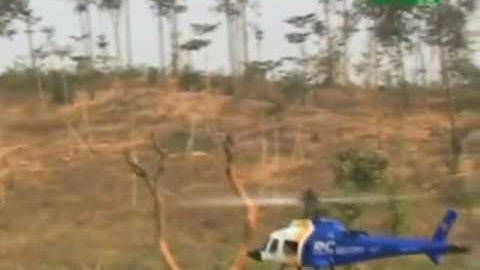 ESky Belt CP CX Demo 3D Flight RC Helicopter